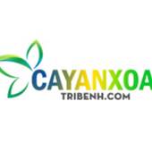 Cây An Xoa Trị Bệnh cayanxoatribenh